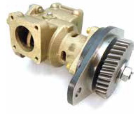 SHERWOOD DENİZ SUYU POMPASI P1730C     2