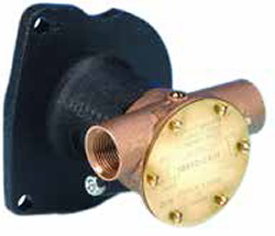 ITT JABSCO FLANŞLI POMPA 3/4