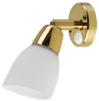 SEAFLO BAŞUCU LAMBASI PRİNÇ GÜN IŞIĞI 12 V LED